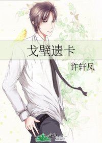 戈壁遗卡